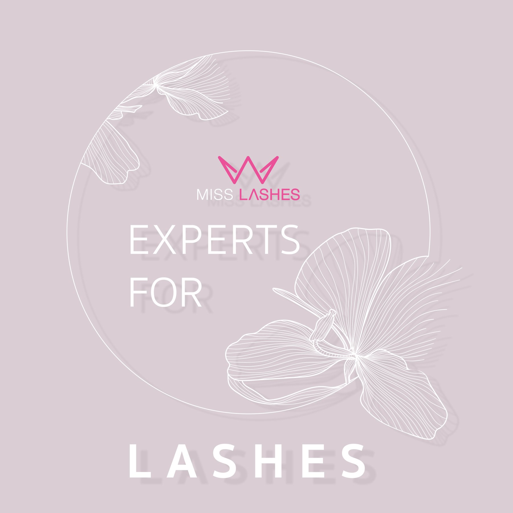 Window Sticker | Experts for Lashes