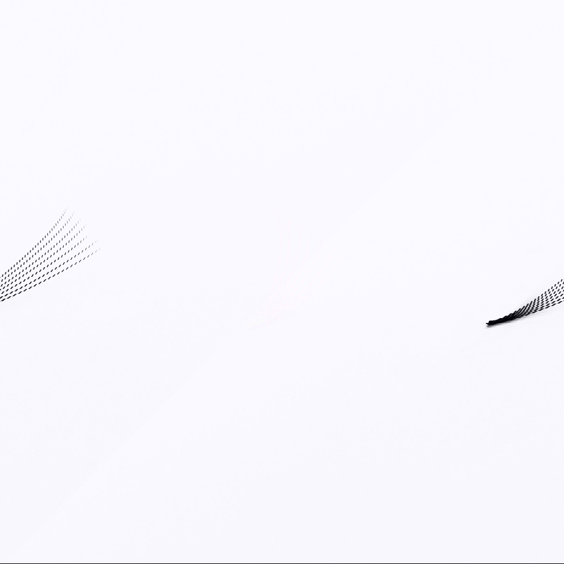 Rebel Line | 5D & 7D